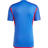 Olympique Lyon 2023/24 Away Jersey - Fan Version