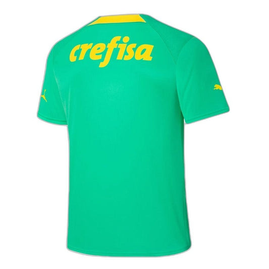 Palmeiras 2022/23 Third Jersey - Fan Version