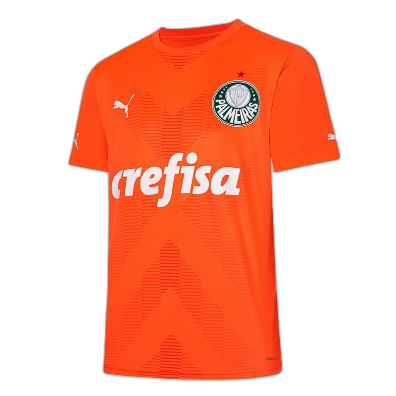 Palmeiras 2023/24 Third Goalkeeper Jersey - Fan Version