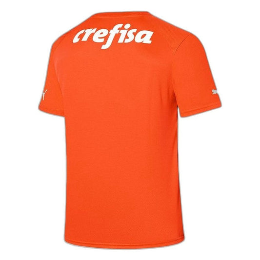 Palmeiras 2023/24 Third Goalkeeper Jersey - Fan Version