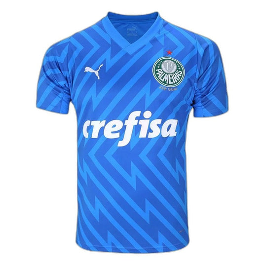 Palmeiras 2024/25 Home Goalkeeper Jersey - Fan Version