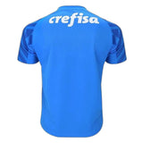 Palmeiras 2024/25 Home Goalkeeper Jersey - Fan Version