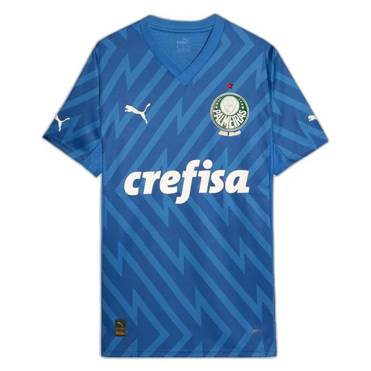 Palmeiras 2024/25 Home Goalkeeper Jersey - Player Version