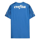 Palmeiras 2024/25 Home Goalkeeper Jersey - Player Version