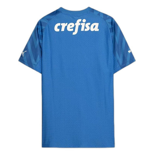 Palmeiras 2024/25 Home Goalkeeper Jersey - Player Version