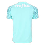 Palmeiras 2024/25 Away Goalkeeper Jersey - Fan Version