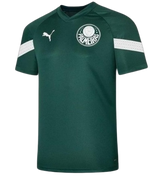 Palmeiras 2023/24 Training Jersey - Green - Fan Version