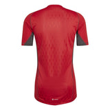Atlético Mineiro 2023/24 Goalkeeper Jersey - Red - Fan Version